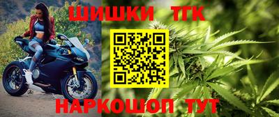тгк Сланцы