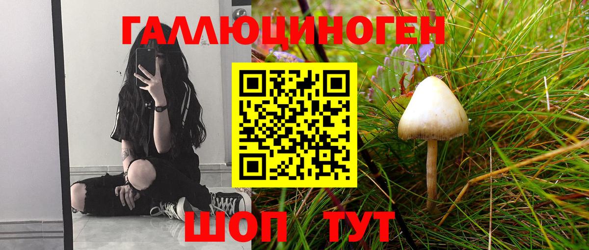 Галлюциногенные грибы Cubensis Прохладный